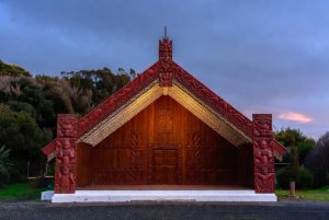 Mymate-MyLog - NZ Disability Care Diary | for NZ Families & Carers